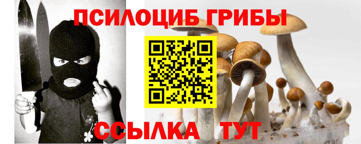 Туймазы  Галлюциногенные грибы GOLDEN TEACHER  Вход с VPN 